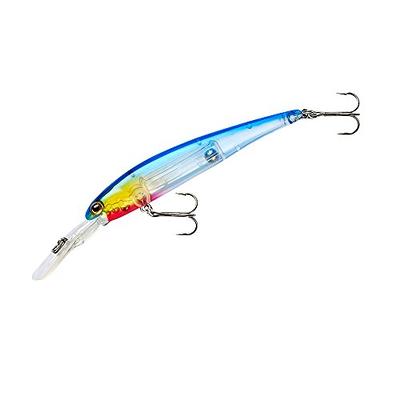 BANDIT LURES Multi-Species Minnow Jerkbait Fishing Lure, Fishing  Accessories, 3.5, 1/3 oz, Transparent Gizzard Shad, (BDTB-SHADD08) - Yahoo  Shopping