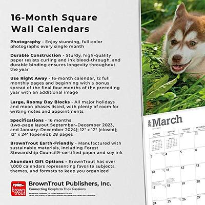 Golden Retriever Puppies, 2024 12 x 24 Inch Monthly Square Wall Calendar, BrownTrout