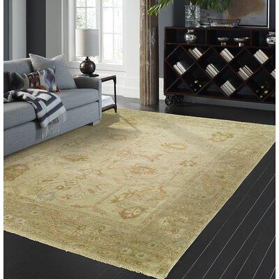 Darby Home Co Outdoor Rug PAD; Rectangle 2' x 3