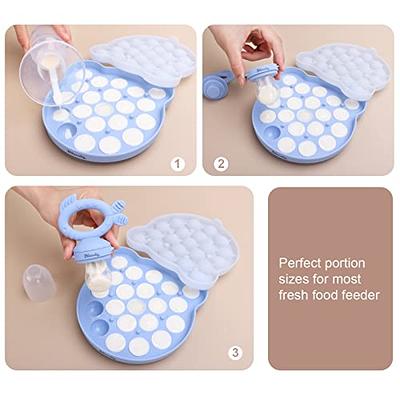 Dilovely Baby Fruit Feeder & Babies Food Freezer Trays with Lid, Pacifier  Feeder, Silicone Food Molds Trays for Homemade Baby Food, Frozen Breast  Milk