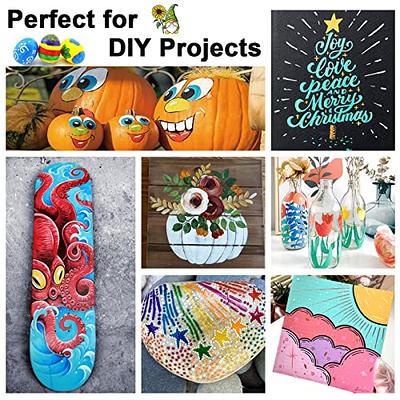  12 Colors Paint Markers, Acrylic Paint Pens for Rock Painting,  Stone, Halloween Pumpkin Decorating Ornaments Paint for Kids Adults DIY  Marking, Ceramic, Wood, Art Craft Painting Supplies, Medium Tip : Arts