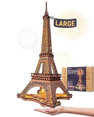 Piececool 3D Metal Puzzles for Adults and Teens, Notre Dame De Paris Church  Metal Model Kit, Challenge French Cathedral Brain Teaser Architecture