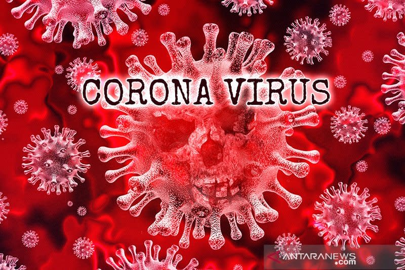 Menkominfo minta warganet tidak sebarkan hoaks virus  corona 