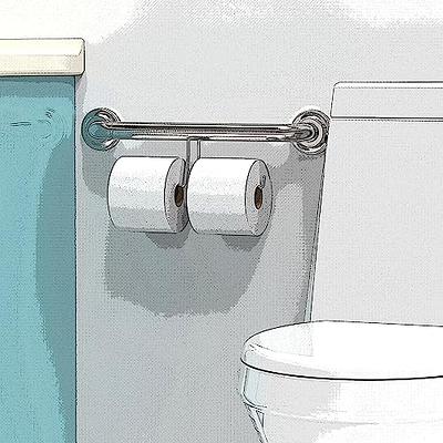 AquaChase Grab Bar with Integrated Toilet Paper Holder for 2 Mega