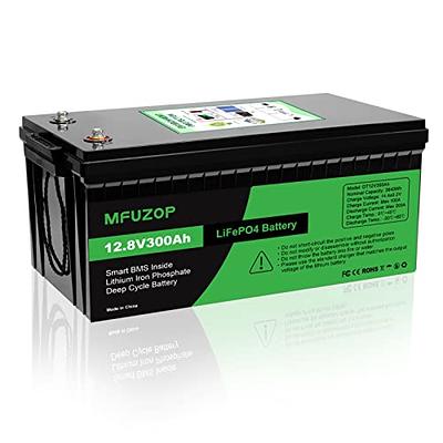 DATOUBOSS 12V 300Ah LiFePO4 Lithium Battery Built-in 200A BMS, Max