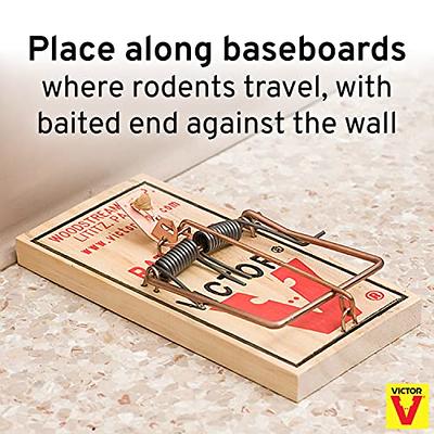 Metal Pedal Indoor and Outdoor Sustainably Sourced FSC Wood Snap Mouse Trap  (4-Count)