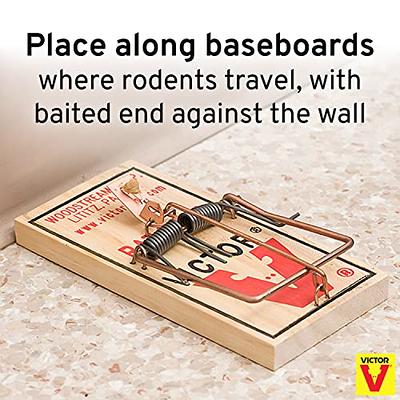 Victor Metal Pedal Indoor and Outdoor Sustainably Sourced FSC Wood Snap  Mouse Trap (4-Count) M156 - The Home Depot