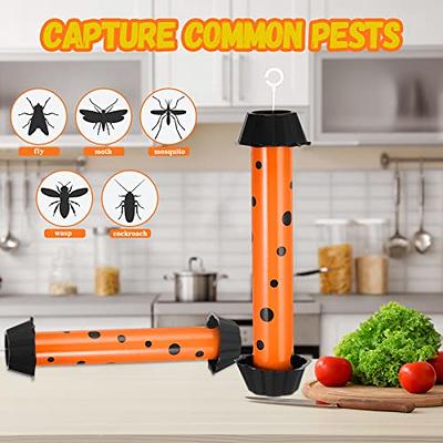 Fruit Sticky Fly Traps Indoor, Fungus Sticky Trap Gnat Sticky Traps Killer  for Home/Kitchen, Flying Insect Bug Catcher