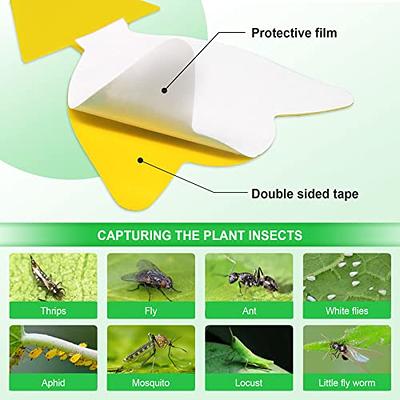 40pcs Flie Traps Bugs Sticky Board Dual-Sided Sticky Traps Flying