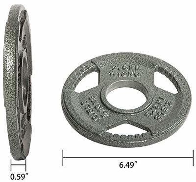 BalanceFrom Cast Iron Plate Weight Plate for Strength Training and  Weightlifting, Olympic or Standard