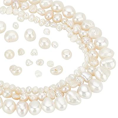 DIY Crafts 800 Pcs, Mix Sizes, Pearl Beads, Multicolor Pearl Beads Loose  Pearls with Holes for Jewelry Making, Small Pearl Filler Beads for Crafting