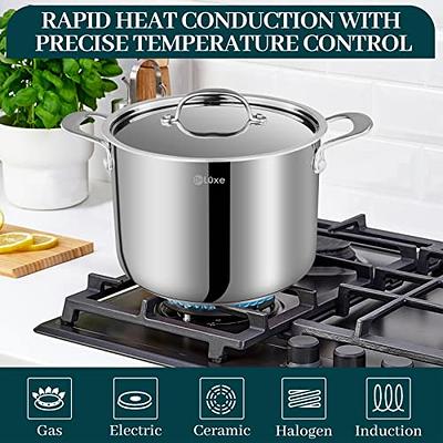 P&P CHEF 6 Quart Stock Cooking Pot, Tri-Ply Stainless Steel Stockpot with  Lid for Induction Gas Electric Stoves, Transparent Cover & Double Riveted