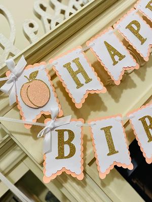 One Sweet Peach Birthday Decorations 1st Birthday for Girls Sweet Peach  Balloon Garland Peach Pink Orange White with One Sweet Peach Backdrop Peach  First 1st Bday Party Supplies 