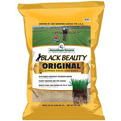 Regal Black Caraway Seed - 5 lb.