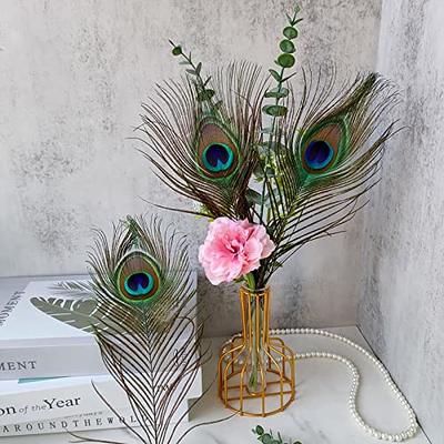 THARAHT 12pcs Peacock Feather Natural in Bulk 10-12 inch 25-30cm for Craft Vase Wedding Home Party Christmas Day Decoration Peacock Feathers 10-12Inc