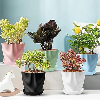 7 Inch Plant Pots, 6 Pack Flower Pots Indoor Outdoor, Decorative Planters  with Drainage Hole and Tray Saucer - Yahoo Shopping