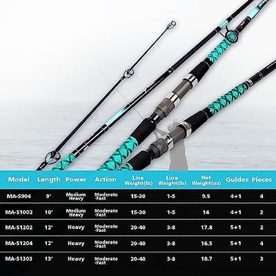 Fiblink Surf Spinning Fishing Rod 2-Piece Graphite Travel Fishing Rod(12-Feet  & 10-Feet) A: 12'-2pcs (Upgrades) 