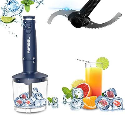 Rae Dunn Immersion Hand Blender- Handheld Immersion Blender with Egg Whisk and Milk Frother Attachments, 2 Speed Blender, 500 Watts, Stainless Steel