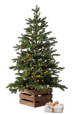 Balsam Hill Balsam Fir 6.5-Foot Pre-Lit Artificial Tree in Green