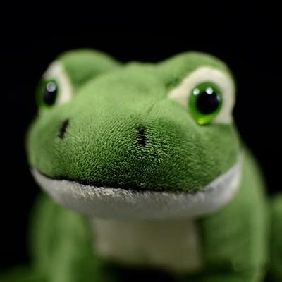 Super Soft Frog Plush Stuffed Animal, Long Shape Frog Hugging