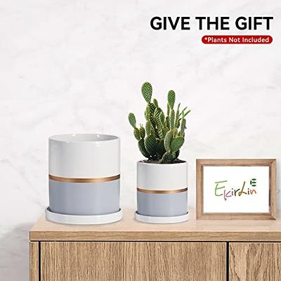 INGOFIN Ceramic Plant Pots - 6 inch + 5 inch Planter with Drainage Hole,  Cylinder Round Flower Orchid Succulent Pots for Indoor or Outdoor Plants