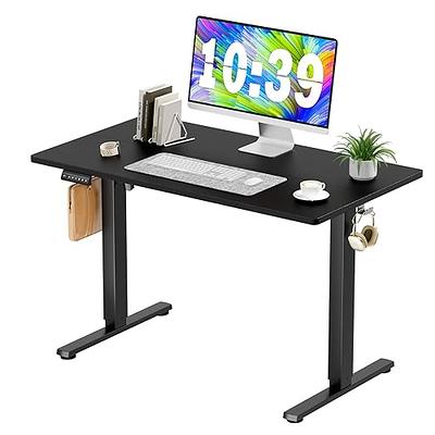 55x24'' Electric Standing Desk Adjustable Height Stand