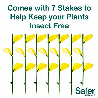 LIGHTSMAX Sticky Fruit Fly and Gnat Trap - Yellow Sticky Bug Traps for Indoor/Outdoor Use - Insect Catcher for White Flies, Mosquito, Fungus Gnats
