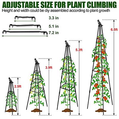 PLANTOP 2 Pack Garden Obelisk Trellis for Climbing Plants Outdoor