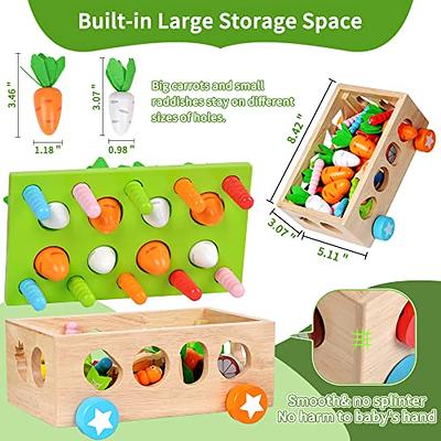 Montessori Toys for 1 2 3 Years Old Boys Girls,Carrot Harvest Magnetic  Fishing Game Gifts