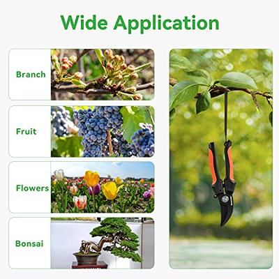  GROWNEER Bypass Pruning Shears, 8 Inch Teflon Coated Plant  Scissors, Hand Pruners for Gardening, Garden Clippers Handheld, Hedge  Trimmers with Sap Groove and Lanyard for Branch, Flower, Bonsai : Patio