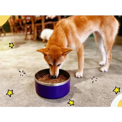 2pcs Dog Bowls Pet Cat Puppy Food Bowls Plastic Round No Spill Water Food  Feeder Dish Colorful Feeding Eating Bowls