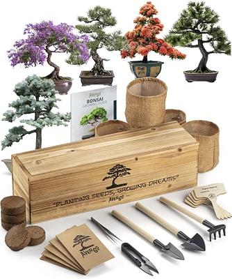 Bonsai NZ Starter Kits  Tree Gifts NZ - Gifts that Count