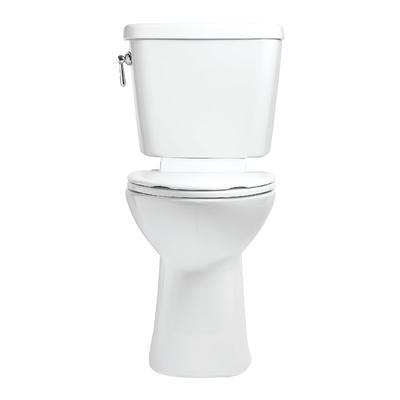 Project Source Danville Black Elongated Chair Height 2-piece WaterSense  Toilet 12-in Rough-In 1.28-GPF in the Toilets department at