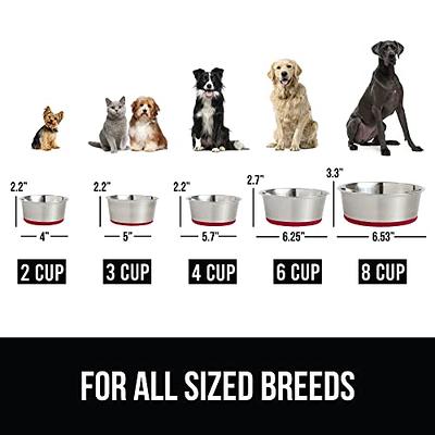 Dog Cat Bowls Stainless Steel Double Food Water Bowls Gorilla Grip Silicone  Mat