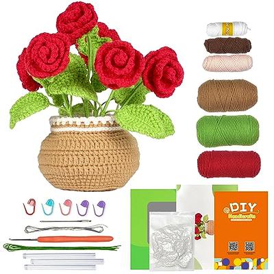 fecloud crochet knitting kit for beginners - 3pcs succulents