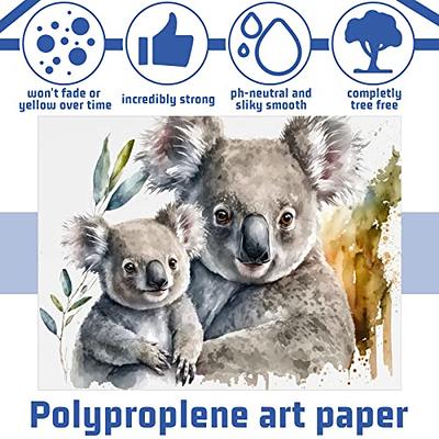 Crtiin 200 Sheets 3 Sizes Watercolor Paper Painting Cold Press Paper Pack  White Paint Paper Water Color Paper for Kids White for Artist Student  Drawing Supplies, 5 x 7 Inch, 6 x 9 Inch, 9 x 12 Inch