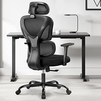 Winrise Office Chair Ergonomic Desk Chair, High Back Gaming Chair