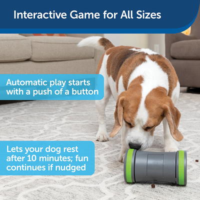 PetSafe Kibble Chase Interactive Dog Toy, Slow Feeder, Electronic