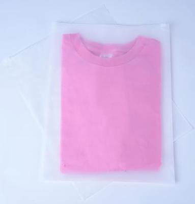 Small Flat Clear Frosted Plastic Bags (1,000 pcs.)