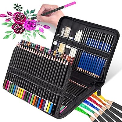 71 pcs Professional Drawing Artist Kit Set Pencils and Sketch Charcoal Art  & Bag