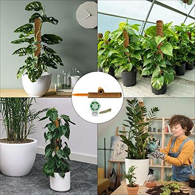 Moss Pole for Plants Monstera - 51.1” Stackable Plant Poles for Potted Plants  Indoor and Outdoor (4 Pcs) – 16.9” Long Natural Coir Moss Sticks with  Garden Twist Ties and Jute Rope - Yahoo Shopping