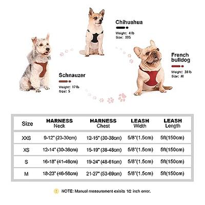 SlowTon No Pull Small Dog Harness and Leash Set, Puppy Soft Vest Harness  Neck & Chest Adjustable, Reflective Lightweight Harness & Anti-Twist Pet  Lead