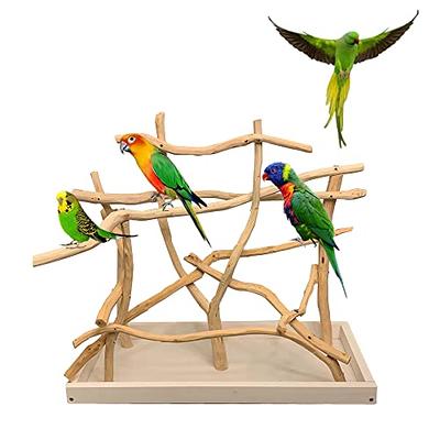 Natural Dragonwood Perches – Aviary Bird Shop