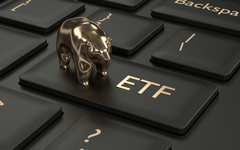 投資人搶存股型ETF 法人：別買貴了