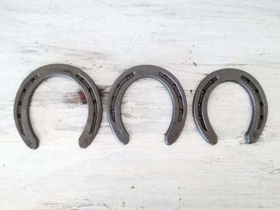 The Heritage Forge Steel Horseshoes Set for Horses, Crafts