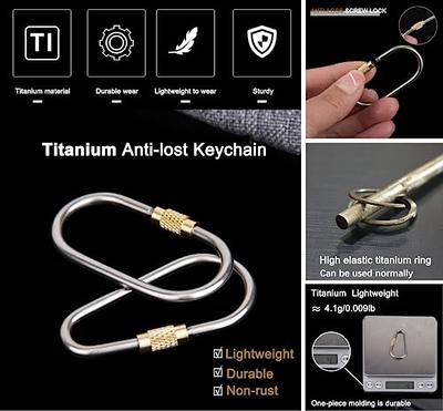 FEGVE Titanium Swivel Key Chain Rings Heavy Duty with 2 Mini Quick Release  Keychain Rings, Small Carabiner Key Holder Split Keyring for Connecting