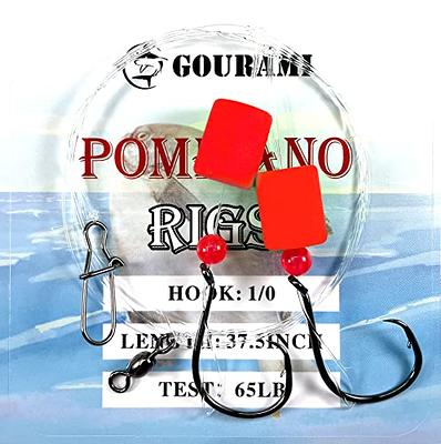 Saltwater Pompano Rigs for Surf Fishing, 10 Pack Snell Floats Fishing Beads  Circle Hooks Saltwater Fishing Swivels Duo Lock Snaps Saltwater Fishing