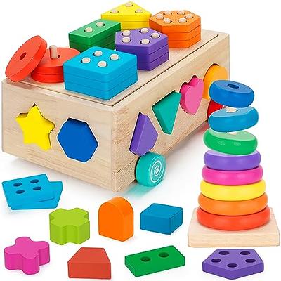 Wooden Montessori Toys for 1 Year Old Toddlers, Magnetic Fishing Game Car 5  with Animal Blocks, Shape Sorter Toys for 1 2 3 Year Old Toddlers, Fine  Motor Toys for - Kideno