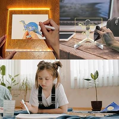 LED Note Board With Colors, Acrylic Dry Erase Board With Light, Glowing  Acrylic Message Marker Board, Light Up Dry Erase Board With Stand As A Glow  Memo Board Note Acrylic Drawing Board