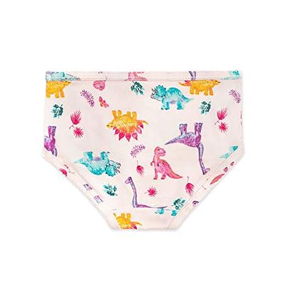  Burt's Bees Baby Baby Toddler Girl Underwear, Organic